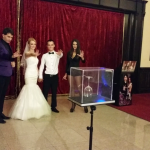 iluzionism la nunta valcea
